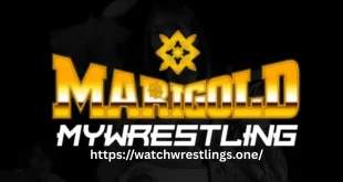Marigold True Victory 11/23/25 : Live Stream, Full Match Card, and Global Start Times