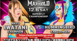 Marigold True Victory 2025 – 12/6/25 Preview : Shocking New Champions Crowned in a Brutal Night